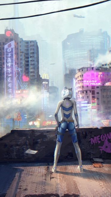 每日电脑壁纸推荐20190124期(1)