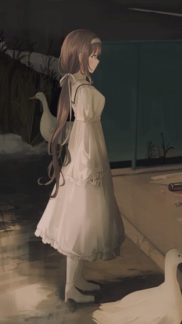 每日电脑壁纸推荐20190128期(1)