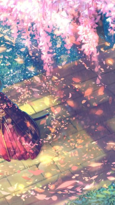 每日电脑壁纸推荐20190129期加期版(1)