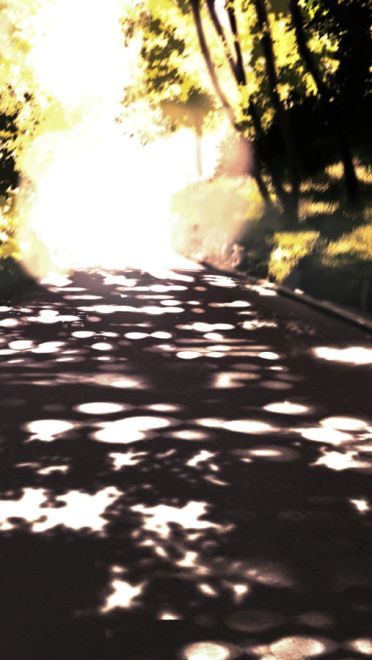 每日手机壁纸推荐20190130期(1)