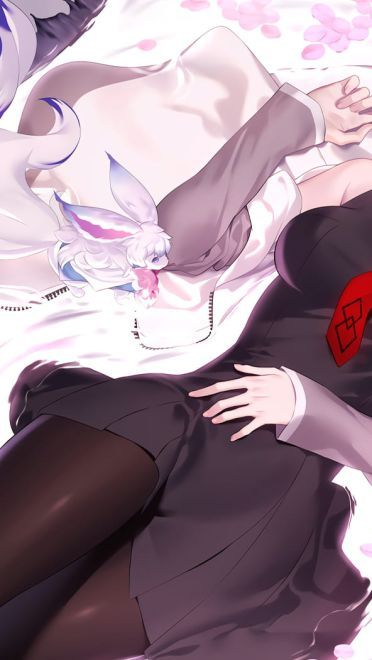 2019年2月 手机&电脑 壁纸&桌面！收好啦！