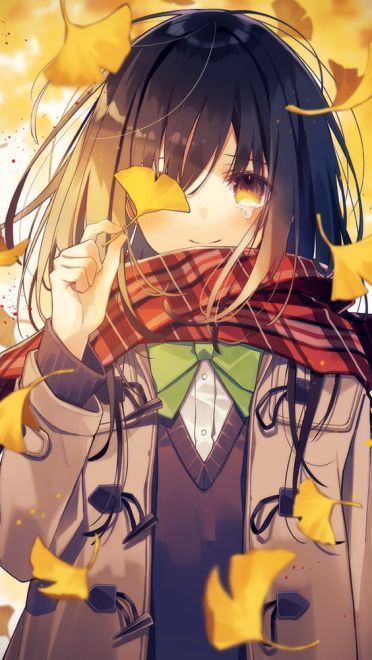 p站每日本子图推荐第2019131期(1)