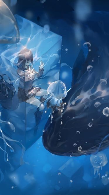 每日电脑壁纸推荐201902018期(1)