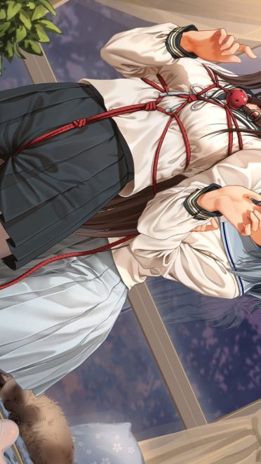 每日电脑壁纸推荐201902018期(1)