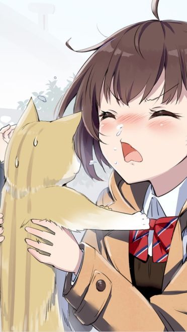 空格君的k站壁纸推荐(1)