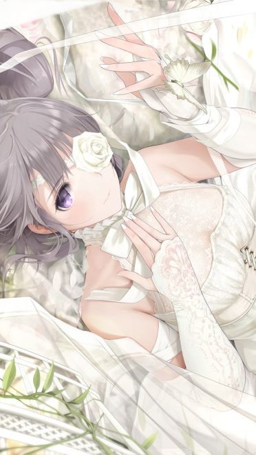 每日电脑壁纸推荐20190202期(1)