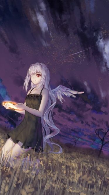 每日电脑壁纸推荐20190214期(1)