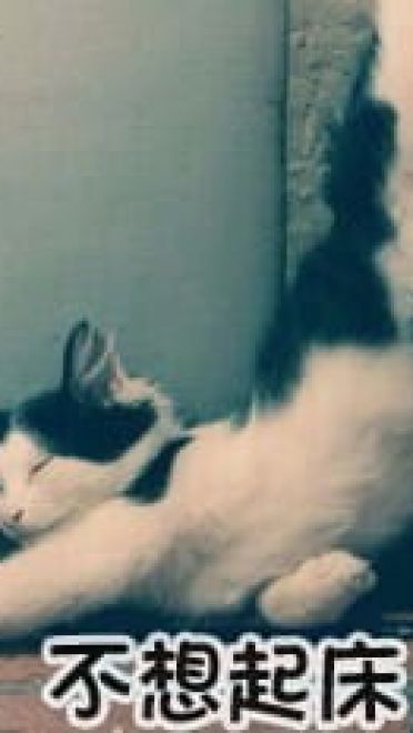 一大波沙雕表情包来袭