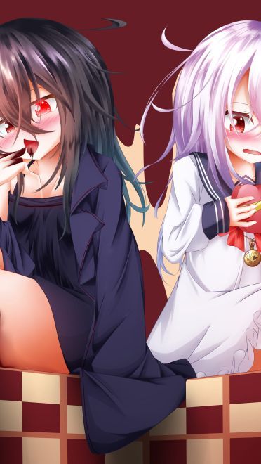 你掉的是金巧克力还是银巧克力呢？每日p站本子图推荐20190214期(1)