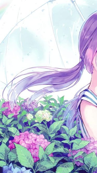 每日k站壁纸推荐第20190214期(1)