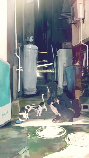 每日手机壁纸推荐第20190218期(1)