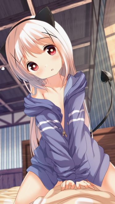 每日手机壁纸推荐第20190218期(1)