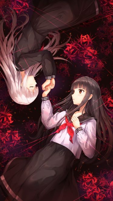 每日手机壁纸推荐第20190220期(1)