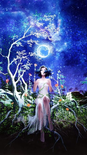 每日k站壁纸推荐第20190221期(1)