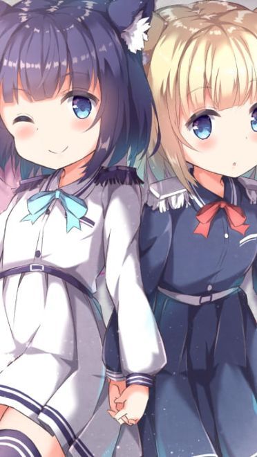 每日p站本子图推荐20190222期(1)