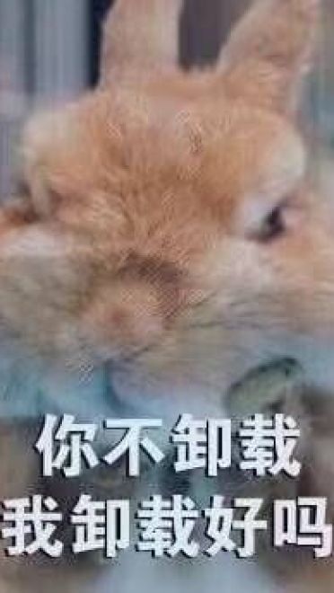 开启死亡带妹模式--沙雕表情系列