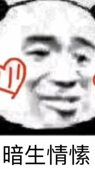 熊猫头表情包-略略略