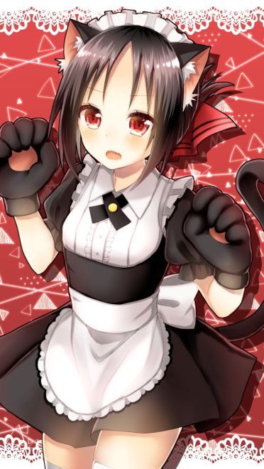 辉夜大小姐想让我告白 本子图合集(1)