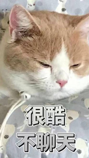 女朋友？有猫就够了--表情(1)