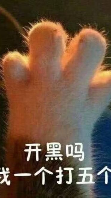 女朋友？有猫就够了--表情(1)