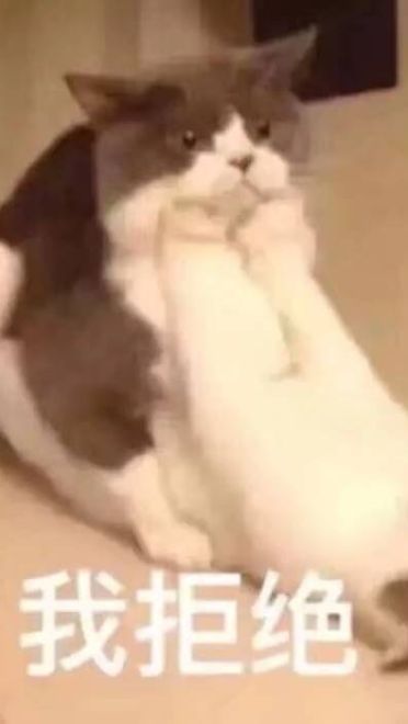 女朋友？有猫就够了--表情(1)