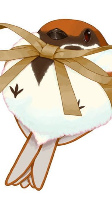 送给你的礼物♡丝带特辑(1)