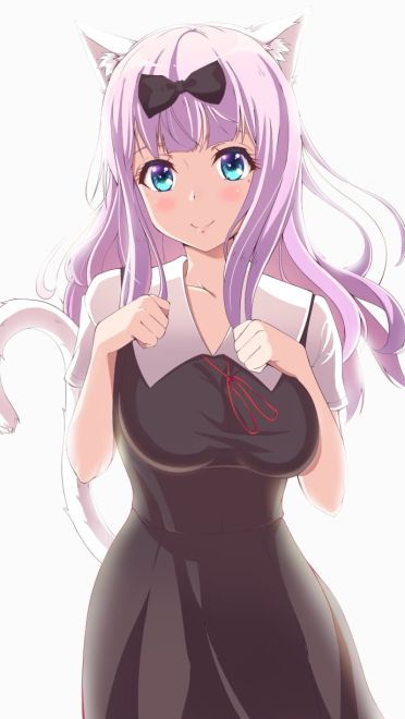 辉夜大小姐最新p站美图不进来看看吗(1)