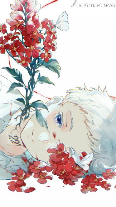 《约定的梦幻岛》漫图合集(1)