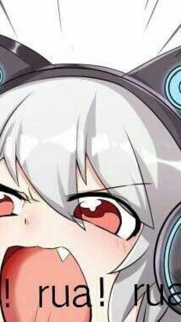 少女与猫福利本子图--每日P站动漫壁纸美图推荐0305期(1)