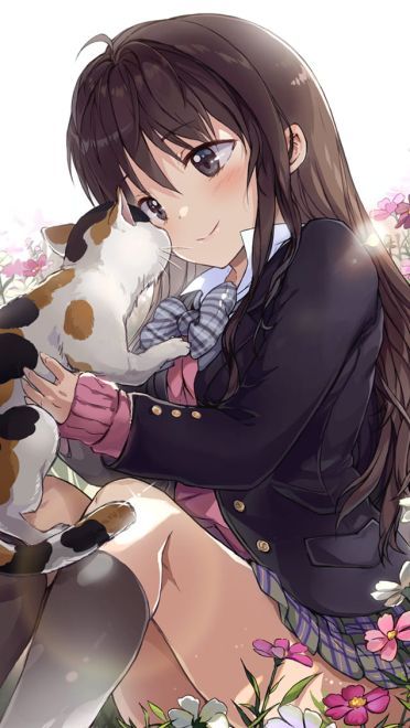 少女与猫福利本子图--每日P站动漫壁纸美图推荐0305期(1)