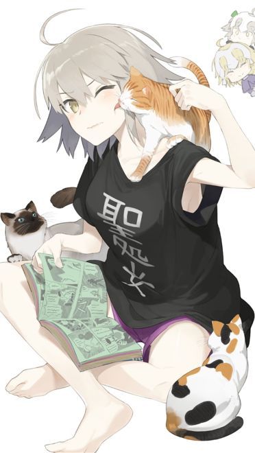 少女与猫福利本子图--每日P站动漫壁纸美图推荐0305期(1)