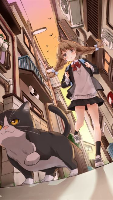 少女与猫福利本子图--每日P站动漫壁纸美图推荐0305期(1)