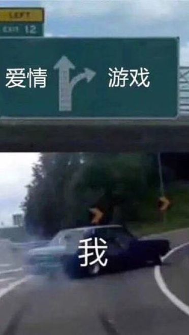 最全抖音无水印分叉路口高速右转表情包熊本熊沙雕斗图