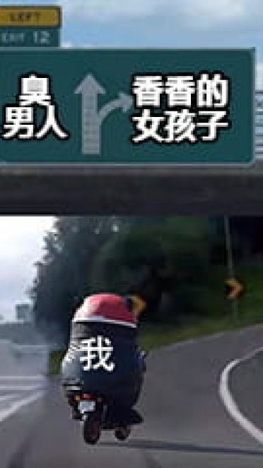 最全抖音无水印分叉路口高速右转表情包熊本熊沙雕斗图