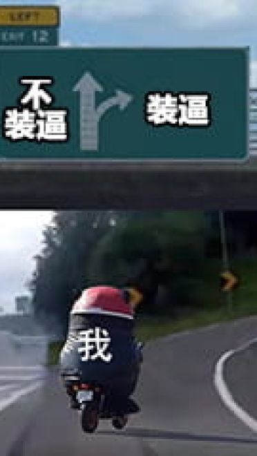 最全抖音无水印分叉路口高速右转表情包熊本熊沙雕斗图