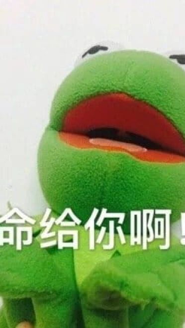 科密特青蛙绿色植树节斗图表情包