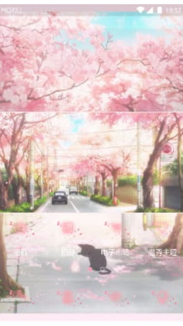 樱花与猫 手机主题