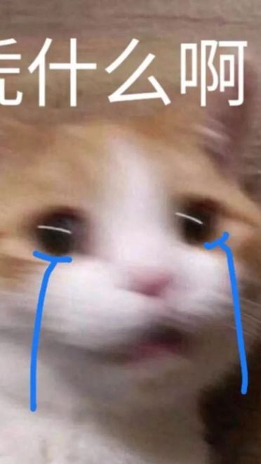 好好鬼混不谈恋爱——沙雕斗图表情