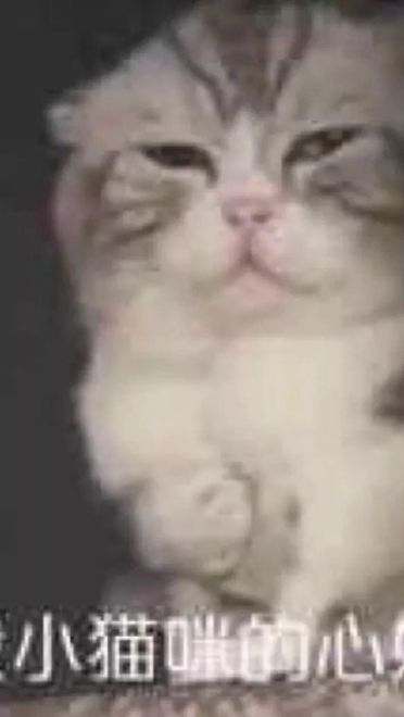 好好鬼混不谈恋爱——沙雕斗图表情