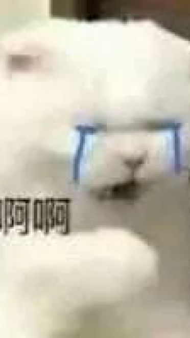 好好鬼混不谈恋爱——沙雕斗图表情