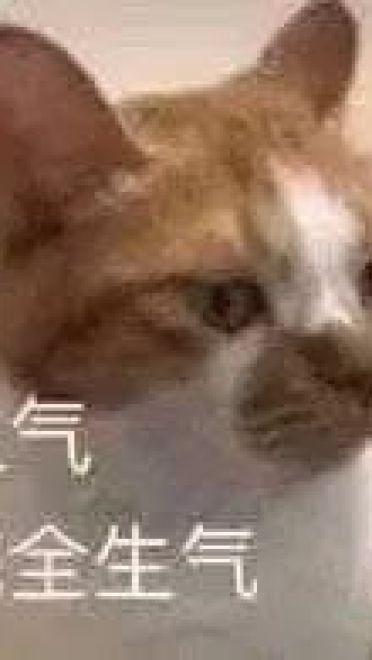 好好鬼混不谈恋爱——沙雕斗图表情