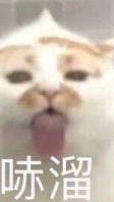 撩妹可爱呆萌猫斗图沙雕表情包