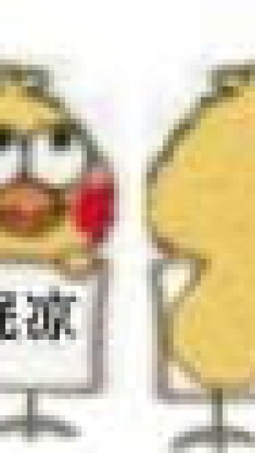 小黄鸡换衣服表情包