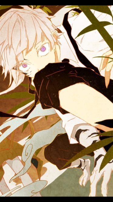 《文豪野犬第三季》动漫壁纸推荐(1)