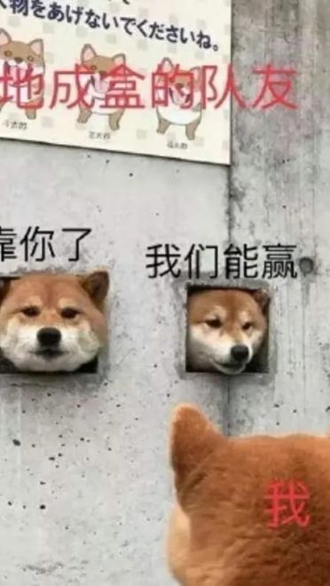 老子真可爱--可爱动漫斗图表情校园第22弹