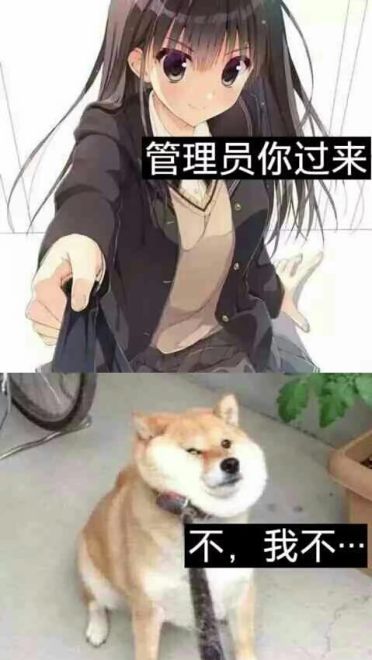 老子真可爱--可爱动漫斗图表情校园第22弹