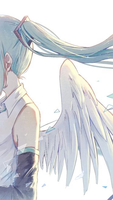 每日P站壁纸推荐20190612期(1)