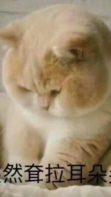 老子真可爱--可爱动漫斗图表情校园第40弹