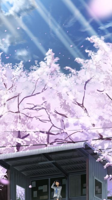 日漫竖屏壁纸 高清适配(1)