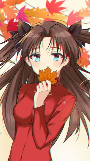 fate官方手机壁纸超清(1)